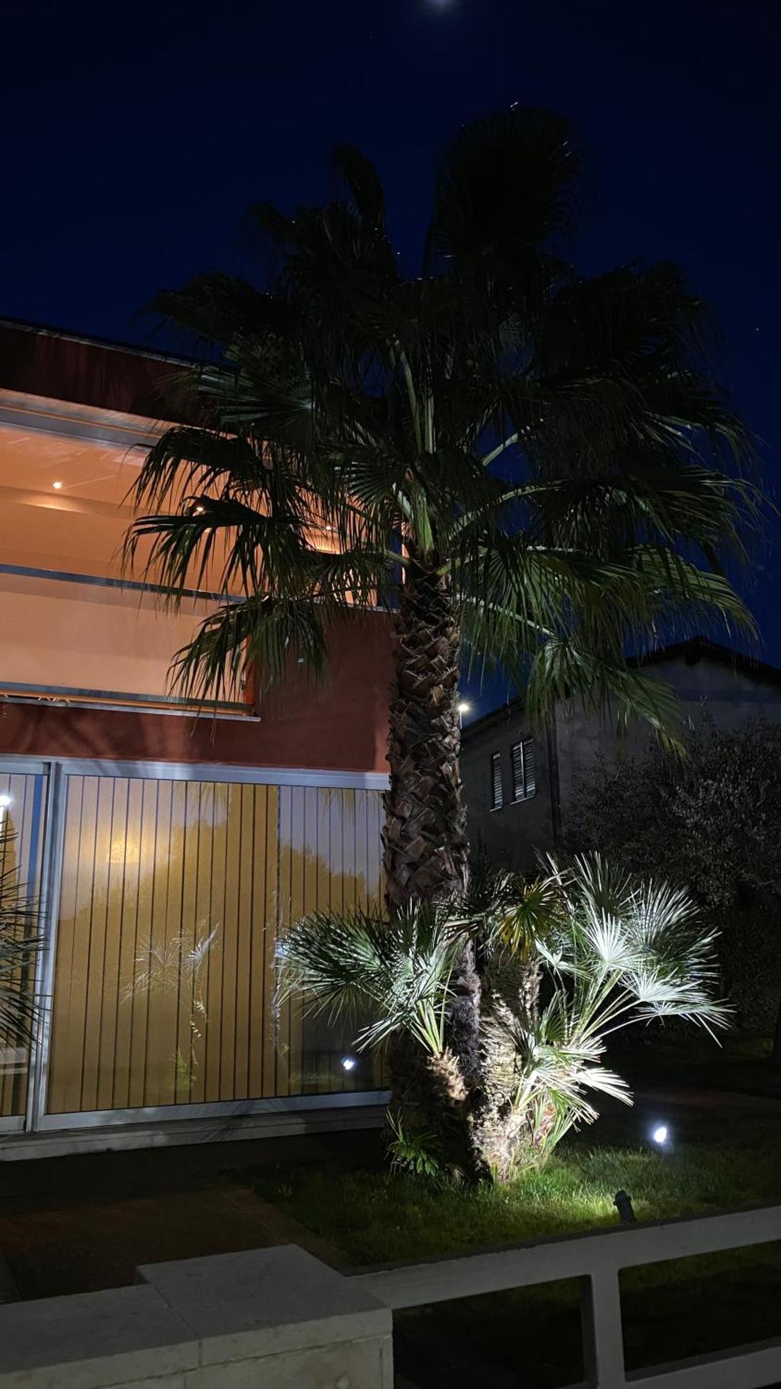 Ivni Apartmani Novigrad Istria エクステリア 写真