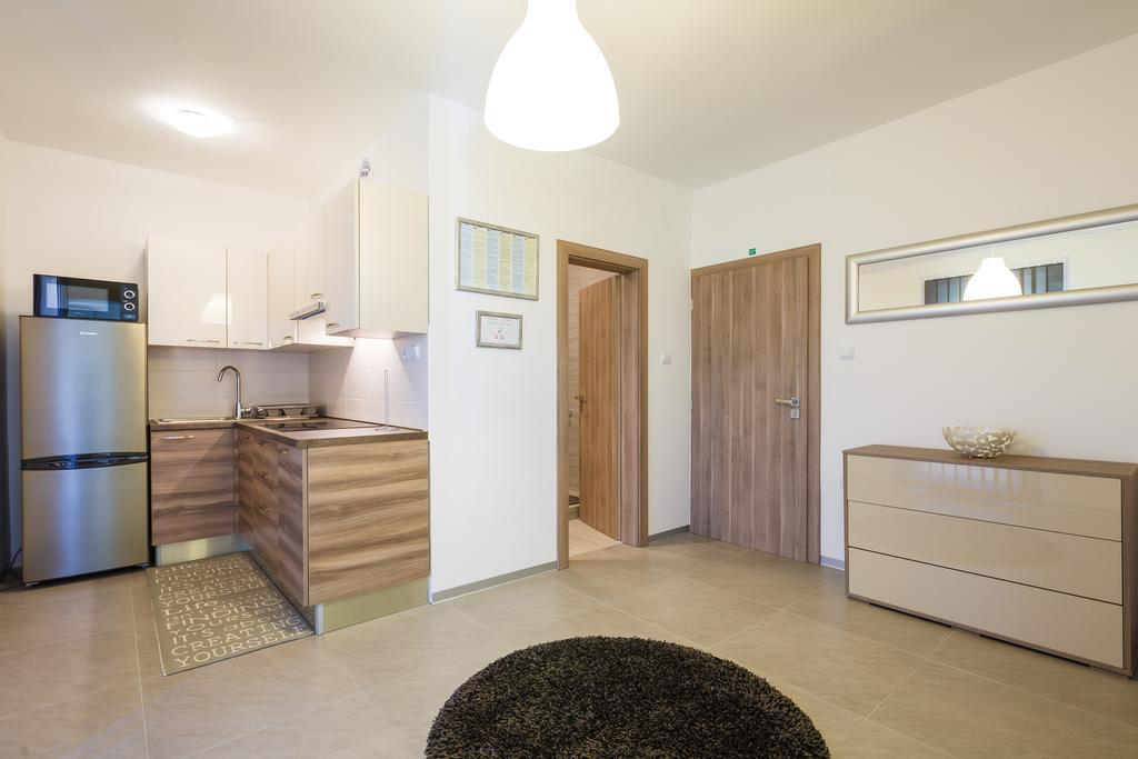 Ivni Apartmani Novigrad Istria 部屋 写真